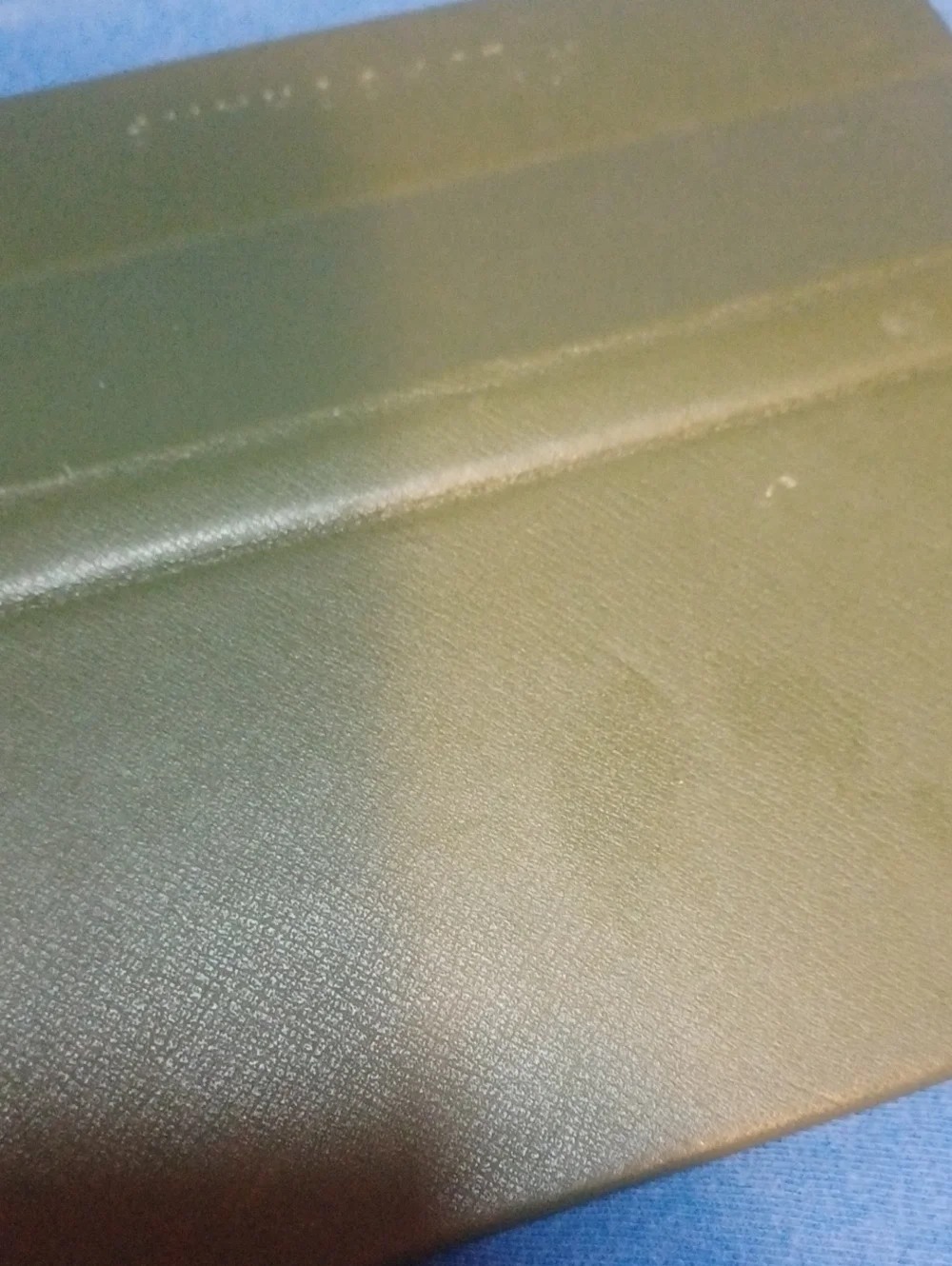 Longchamp Glasses Case